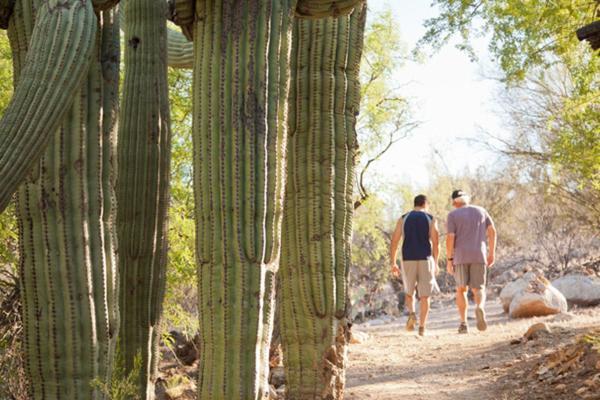 Canyon Ranch Tucson Mount Lemmont Экстерьер фото