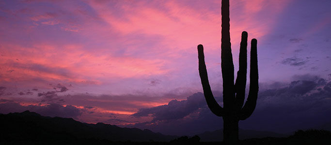 Canyon Ranch Tucson Mount Lemmont Экстерьер фото